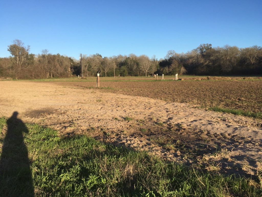Tilling Creek bottom field