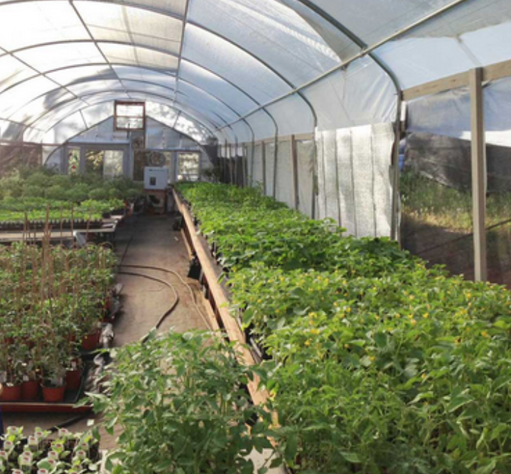 How to Secure Your Local Food Supply